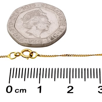 9ct gold 2.9g 18 inch Locket with chain